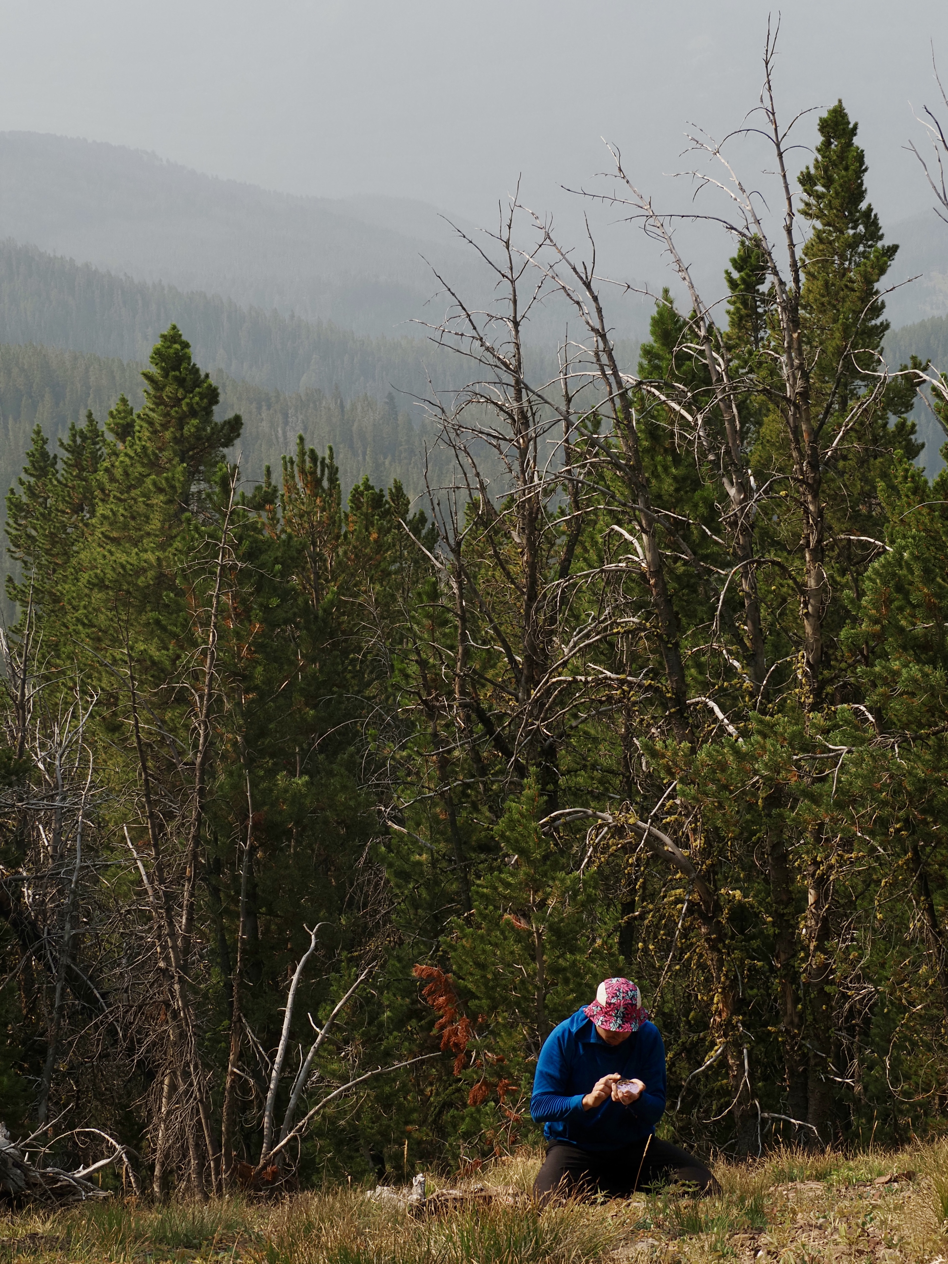 Jared doin his thing